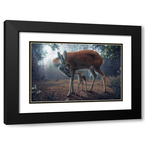 Mother and Fawn Black Modern Wood Framed Art Print with Double Matting by Wilhelm, John