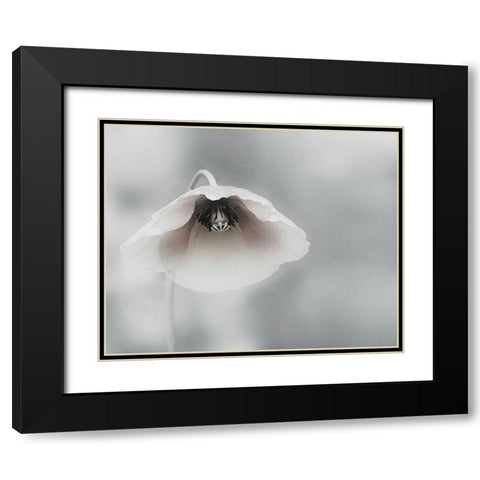 Ephemeral Beauty Black Modern Wood Framed Art Print with Double Matting by Flour, Piet