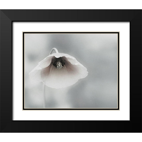 Ephemeral Beauty Black Modern Wood Framed Art Print with Double Matting by Flour, Piet