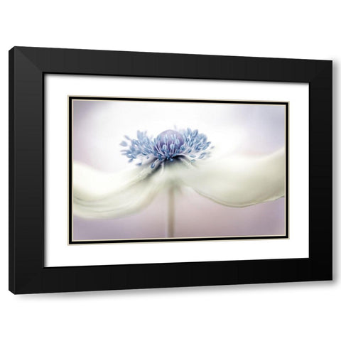 a n e m o n e Black Modern Wood Framed Art Print with Double Matting by Disher, Mandy