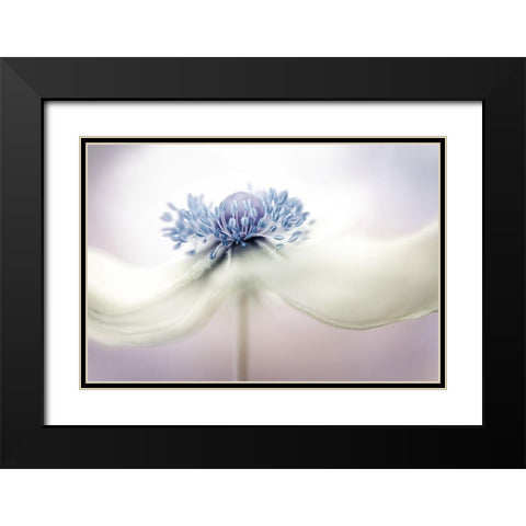 a n e m o n e Black Modern Wood Framed Art Print with Double Matting by Disher, Mandy