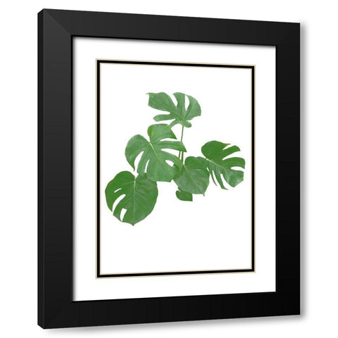 Monstera Green 04 Black Modern Wood Framed Art Print with Double Matting by Artographie Studio