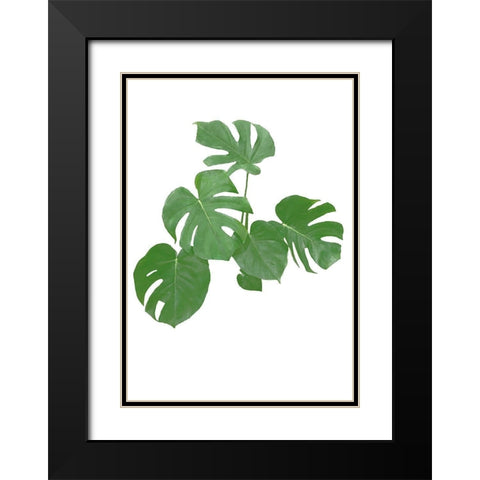 Monstera Green 04 Black Modern Wood Framed Art Print with Double Matting by Artographie Studio
