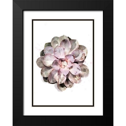Succulent Plant 01 Black Modern Wood Framed Art Print with Double Matting by Artographie Studio