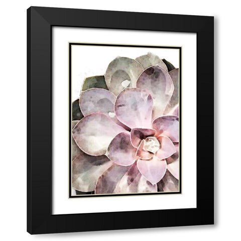 Succulent Plant 04 Black Modern Wood Framed Art Print with Double Matting by Artographie Studio
