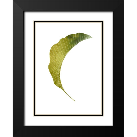Banana Leaf Black Modern Wood Framed Art Print with Double Matting by Artographie Studio