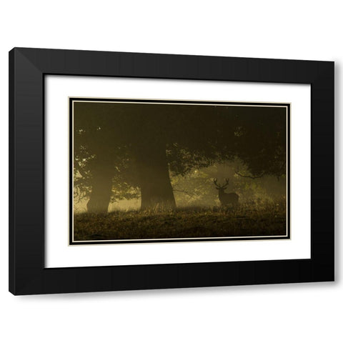 Magical sunrise Black Modern Wood Framed Art Print with Double Matting by Cia, Inigo