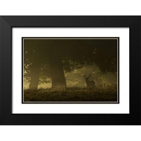 Magical sunrise Black Modern Wood Framed Art Print with Double Matting by Cia, Inigo