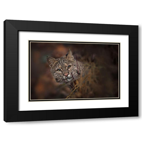 These Eyes Black Modern Wood Framed Art Print with Double Matting by Kalathas, Nick