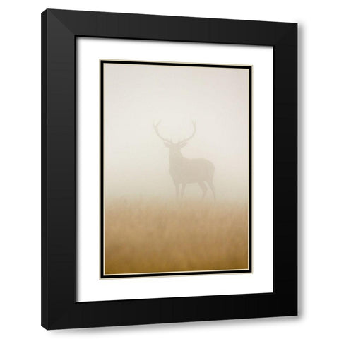 Ghost Stag Black Modern Wood Framed Art Print with Double Matting by Harling, Stuart