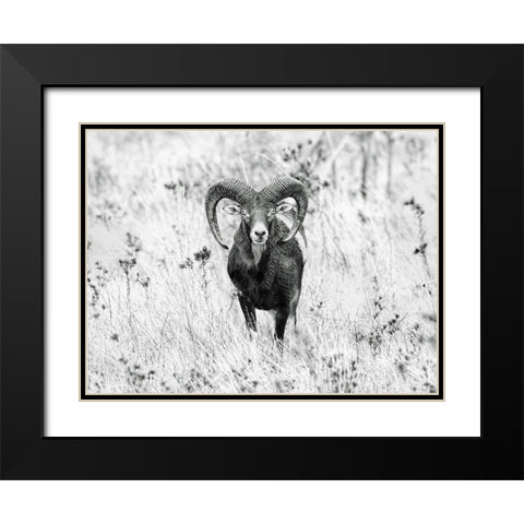 The Stare Black Modern Wood Framed Art Print with Double Matting by Merino, Nicolas