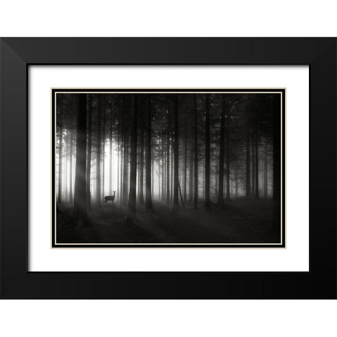 Deer`s Morning Black Modern Wood Framed Art Print with Double Matting by Hessel, Christoph