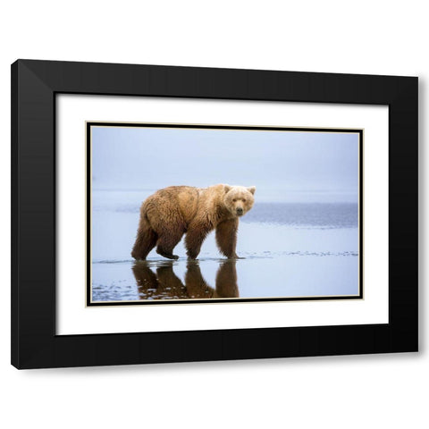 The Bear Walk Black Modern Wood Framed Art Print with Double Matting by Doyle, Renee