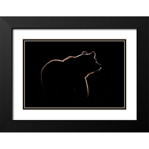 Highlight Black Modern Wood Framed Art Print with Double Matting by Golob, Gorazd