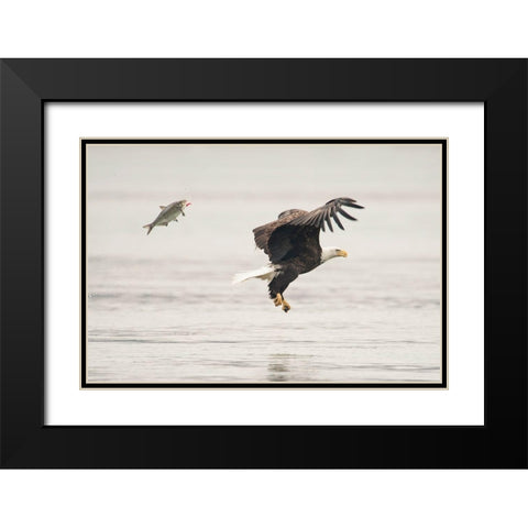 Flying Together Black Modern Wood Framed Art Print with Double Matting by Tang, Wei