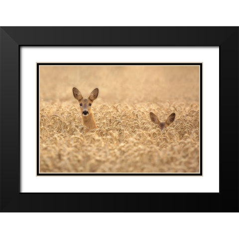 Mother with child Black Modern Wood Framed Art Print with Double Matting by Wallberg, Allan