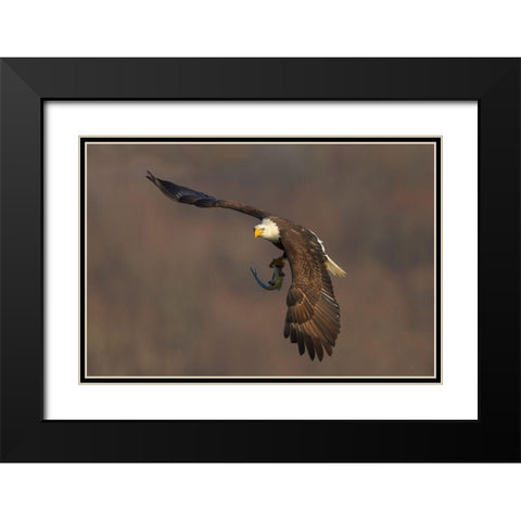 The Show Time Black Modern Wood Framed Art Print with Double Matting by Hua, David