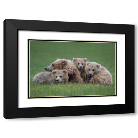 Bear Huddle Black Modern Wood Framed Art Print with Double Matting by Doyle, Renee