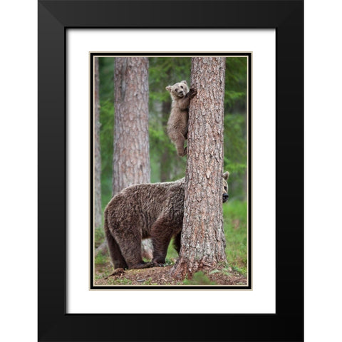 Be Careful Black Modern Wood Framed Art Print with Double Matting by Catta, Alessandro