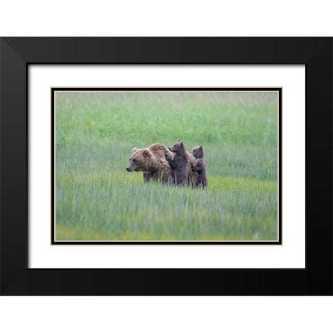 Vigilance #2 Black Modern Wood Framed Art Print with Double Matting by Sink, Jeffrey C