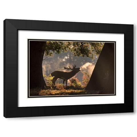 He Waits in the Shadows Black Modern Wood Framed Art Print with Double Matting by Saberi, Alex
