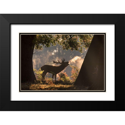 He Waits in the Shadows Black Modern Wood Framed Art Print with Double Matting by Saberi, Alex