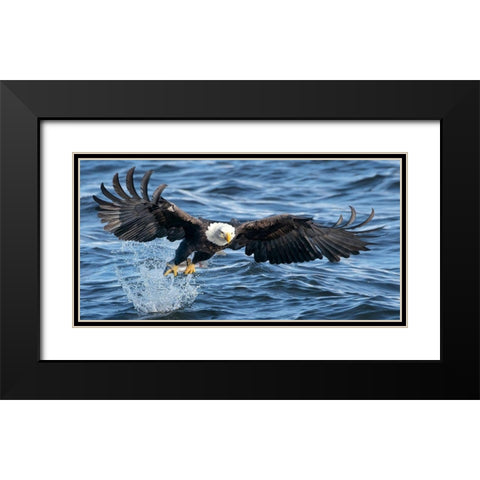 King of Mississippi Black Modern Wood Framed Art Print with Double Matting by Fan, John