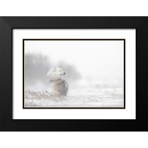 Hard times Black Modern Wood Framed Art Print with Double Matting by Pozzi, Marco