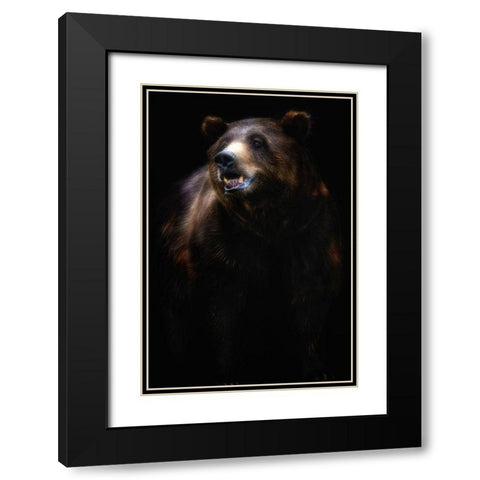 Brown bear portrait Black Modern Wood Framed Art Print with Double Matting by Pascual Buye, Santiago