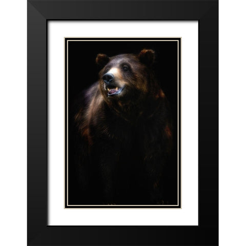 Brown bear portrait Black Modern Wood Framed Art Print with Double Matting by Pascual Buye, Santiago