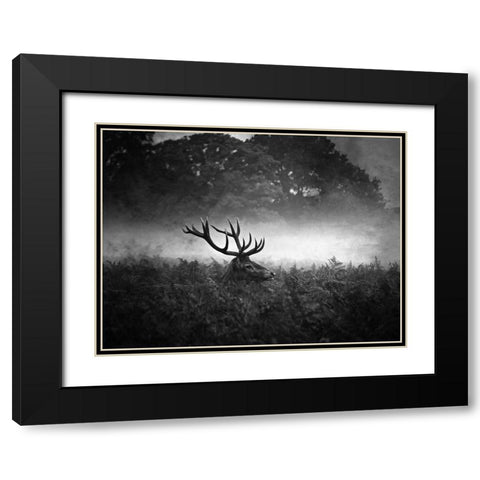 Prince Black Modern Wood Framed Art Print with Double Matting by Fabrowski, Robert