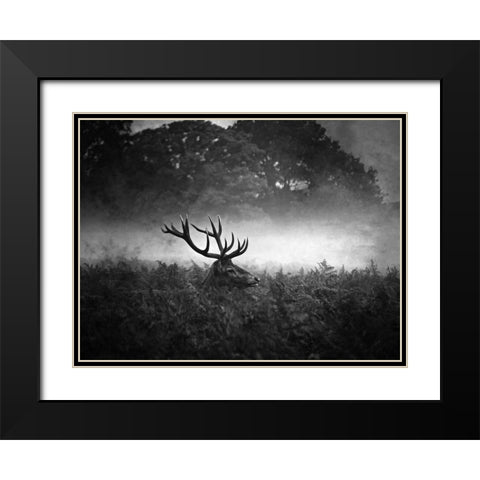 Prince Black Modern Wood Framed Art Print with Double Matting by Fabrowski, Robert