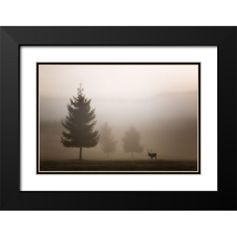 Looking for Love Black Modern Wood Framed Art Print with Double Matting by Bruna, Marco