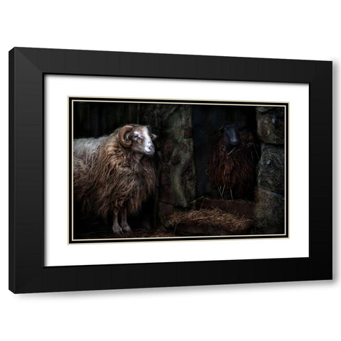 The sheep shed Black Modern Wood Framed Art Print with Double Matting by Pascual Buye, Santiago