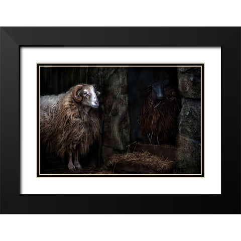 The sheep shed Black Modern Wood Framed Art Print with Double Matting by Pascual Buye, Santiago