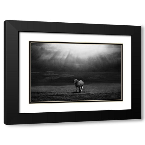 Morning Appearance Black Modern Wood Framed Art Print with Double Matting by Svoboda MQEP, Peter