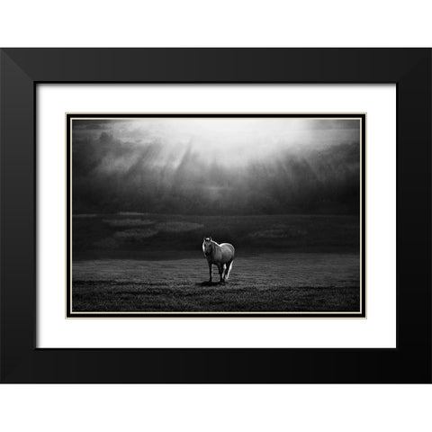 Morning Appearance Black Modern Wood Framed Art Print with Double Matting by Svoboda MQEP, Peter