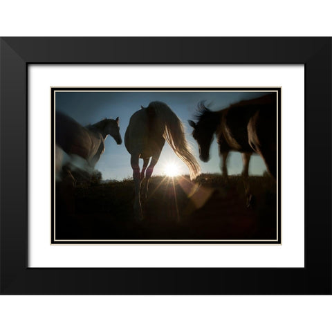 Sunrise Black Modern Wood Framed Art Print with Double Matting by Malovrh, Milan
