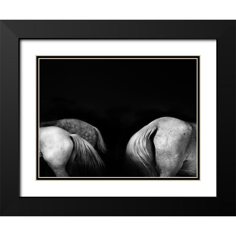 Tail ends Black Modern Wood Framed Art Print with Double Matting by Wride, Linda