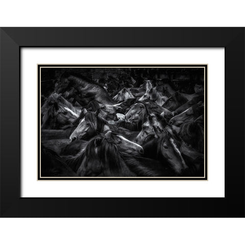 Acorralados Black Modern Wood Framed Art Print with Double Matting by Maseda Varela, Alfonso