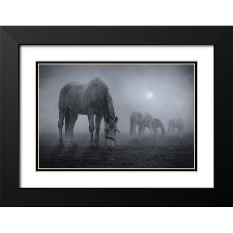 Moonlit Black Modern Wood Framed Art Print with Double Matting by Malach, Samuel