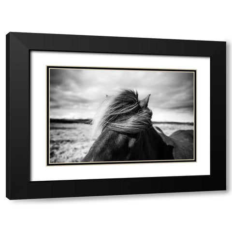 Iceland Black Modern Wood Framed Art Print with Double Matting by Liesbeth