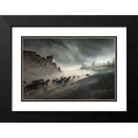 Migration Black Modern Wood Framed Art Print with Double Matting by Taskin, Huseyin