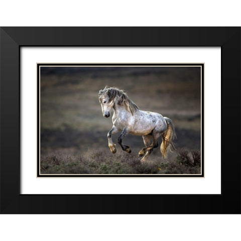 Wild Wild West Black Modern Wood Framed Art Print with Double Matting by Verdon