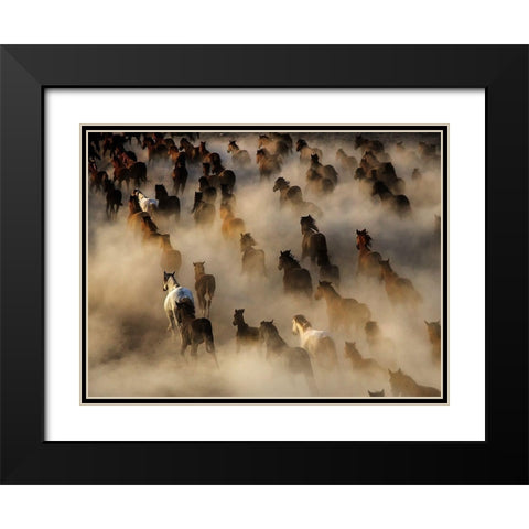 Wild horses Black Modern Wood Framed Art Print with Double Matting by Bedir, Mehmet
