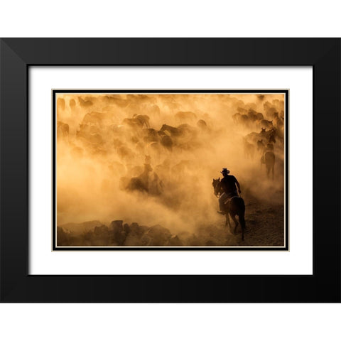 Cappadocia wild horses Black Modern Wood Framed Art Print with Double Matting by Mirica, Dan