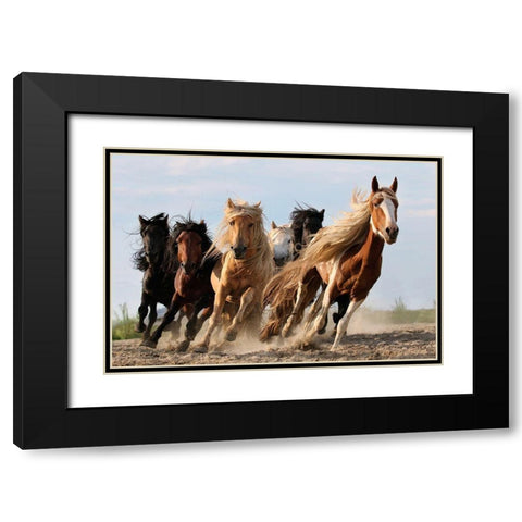 Lucky Six Black Modern Wood Framed Art Print with Double Matting by Wong, Adam