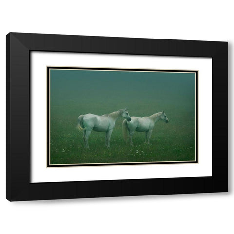 In the silent field Black Modern Wood Framed Art Print with Double Matting by Khemkum, Ekkachai