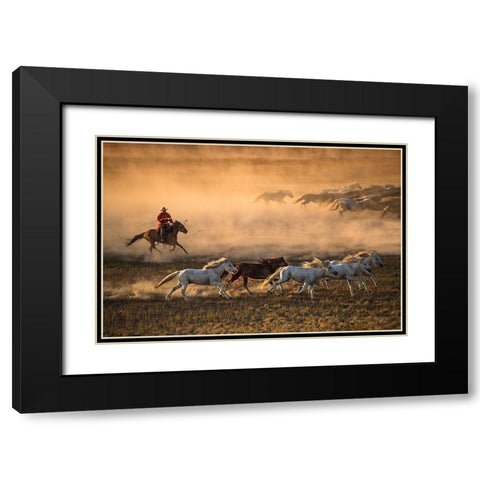 Mongolia Horses Black Modern Wood Framed Art Print with Double Matting by Zhang, Libby