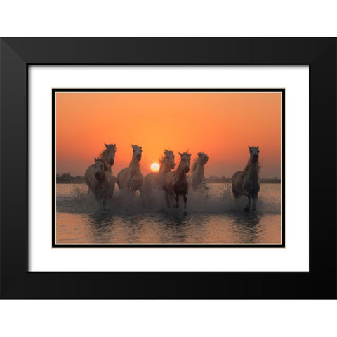 Sunset in Camargue Black Modern Wood Framed Art Print with Double Matting by Anton, Rostovskiy